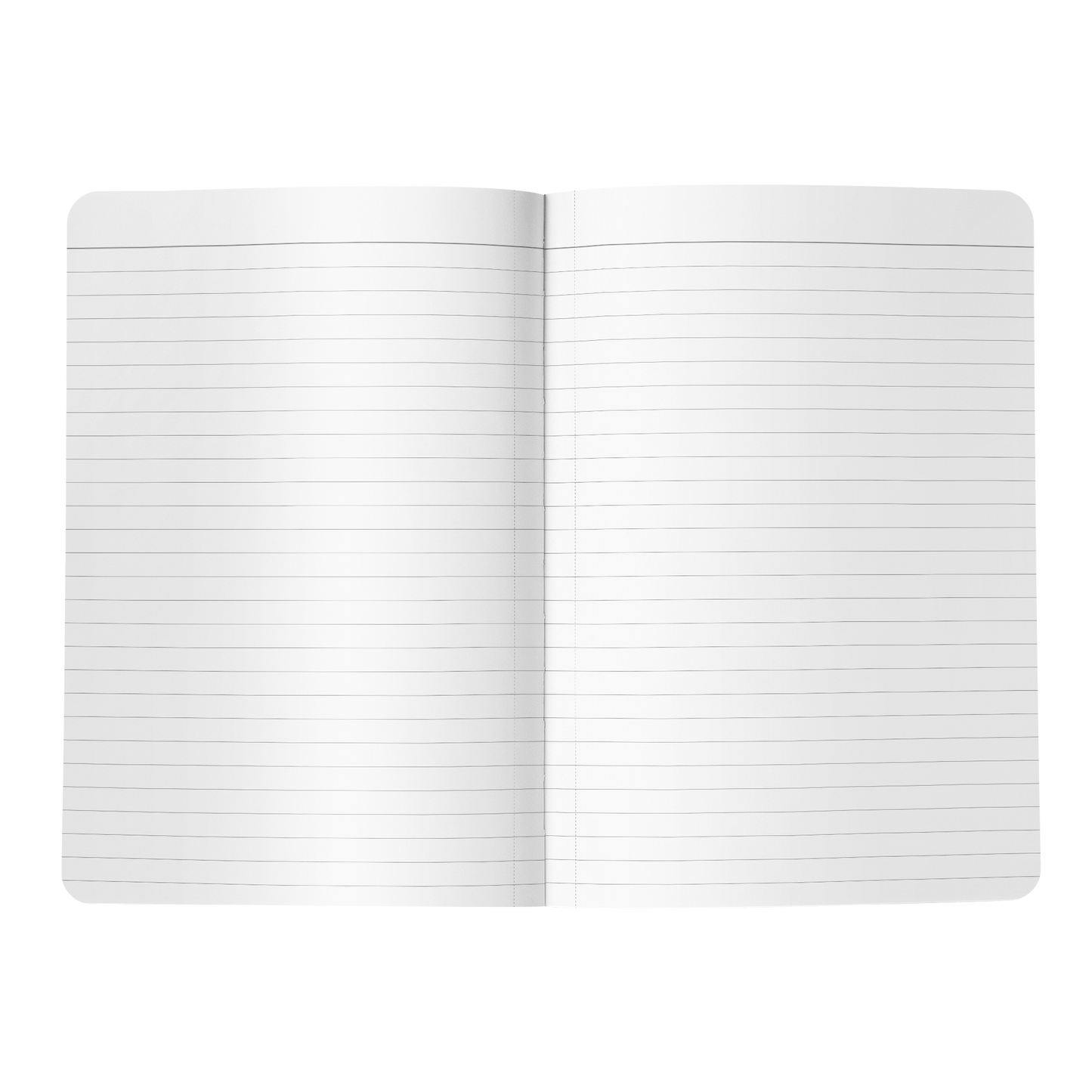 Journal: Pilot Passions (paperback)