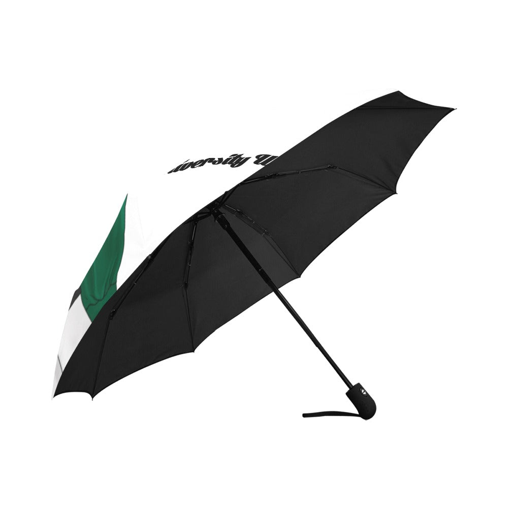 N.A.U.W.:  Lady In Green Umbrella