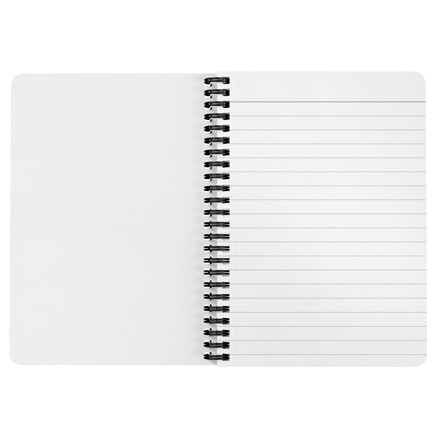 Journal:  Journey Discovery